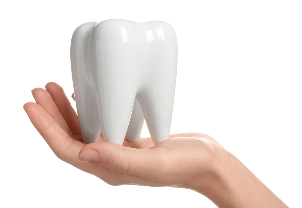 Dłoń trzymająca model białego zęba, symbolizująca przyjazny i rodzinny gabinet dentystyczny Dental-Wit.